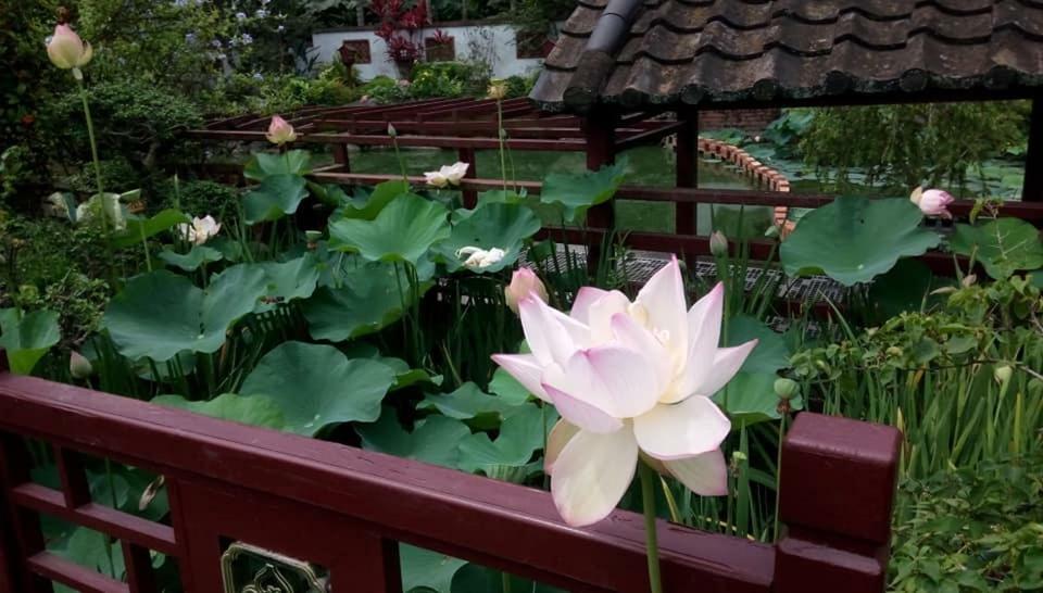 Chinese Garden Houses Apartment Pingtung Luaran gambar